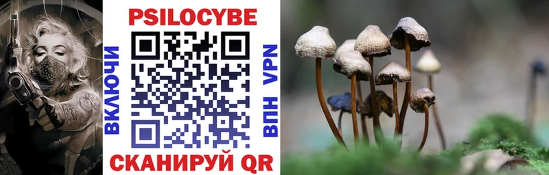 Галлюциногенные грибы прущие грибы  Сенгилей 