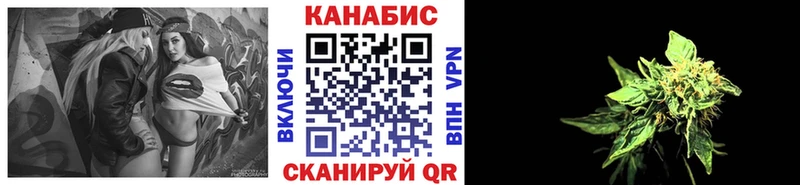 Канабис сатива  где купить   Сенгилей 
